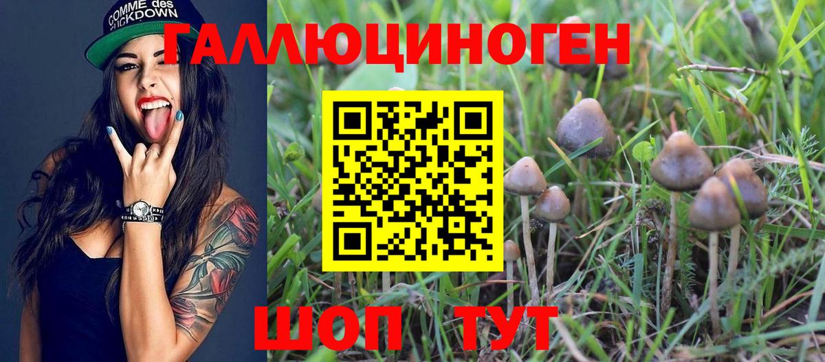 Амурск  Галлюциногенные грибы Magic Shrooms  Вход с VPN 